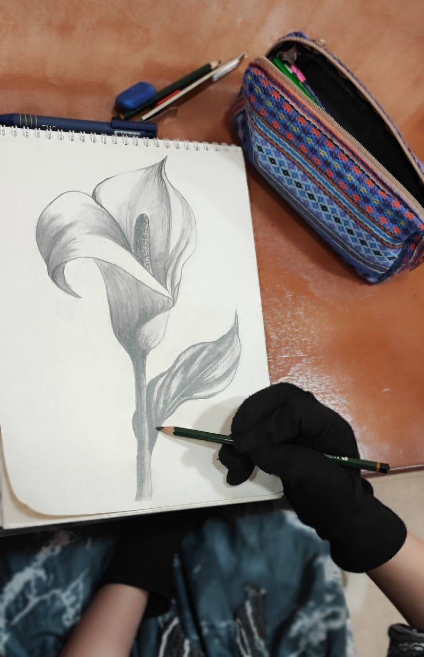نقاشی حرفه ای